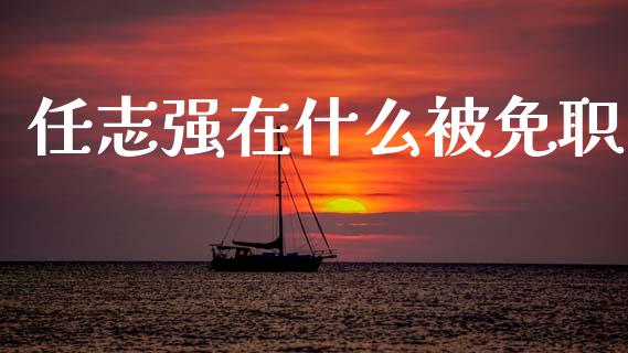 任志强在什么被免职_https://m.fansifence.com_公募基金_第1张