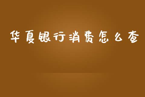 华夏银行消费怎么查_https://m.fansifence.com_公募基金_第1张