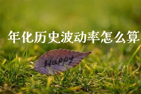 年化历史波动率怎么算_https://m.fansifence.com_公募基金_第1张