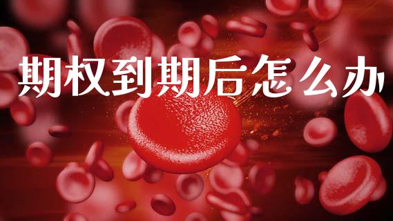 期权到期后怎么办_https://m.fansifence.com_贵金属行情_第1张