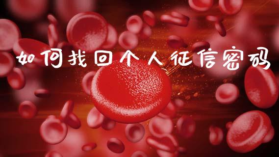 如何找回个人征信密码_https://m.fansifence.com_贵金属行情_第1张