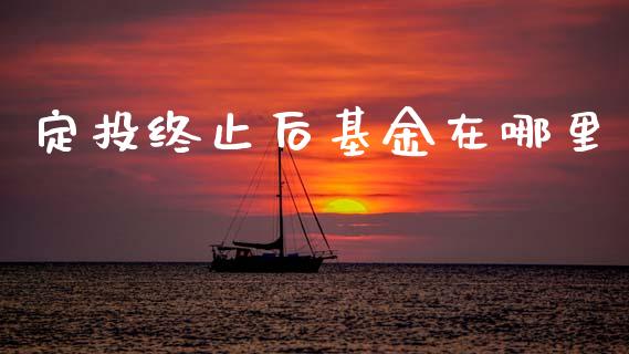 定投终止后基金在哪里_https://m.fansifence.com_消费金融_第1张