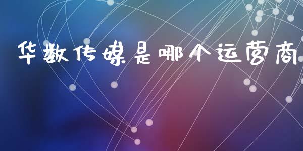 华数传媒是哪个运营商_https://m.fansifence.com_消费金融_第1张