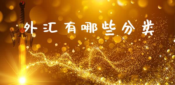外汇有哪些分类_https://m.fansifence.com_消费金融_第1张
