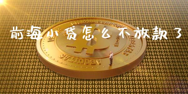 前海小贷怎么不放款了_https://m.fansifence.com_个股行情_第1张