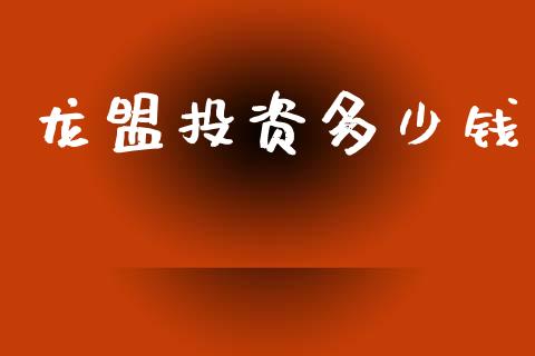 龙盟投资多少钱_https://m.fansifence.com_公募基金_第1张