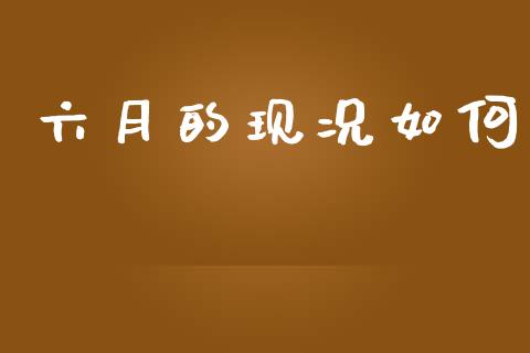六月的现况如何_https://m.fansifence.com_公募基金_第1张