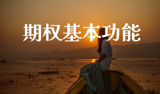 期权基本功能_https://m.fansifence.com_贵金属行情_第1张