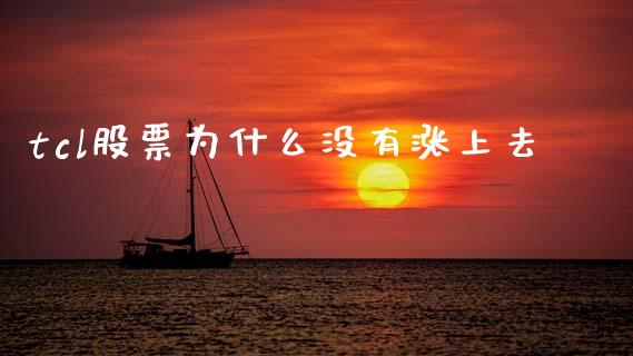 tcl股票为什么没有涨上去_https://m.fansifence.com_贵金属行情_第1张