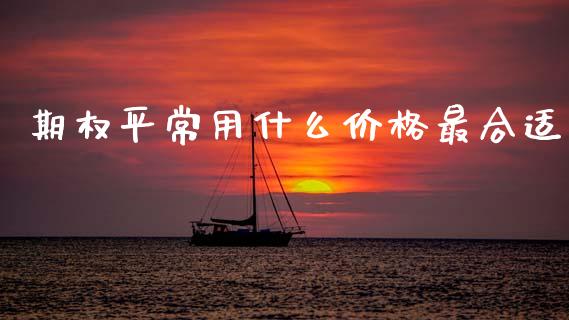 期权平常用什么价格最合适_https://m.fansifence.com_公募基金_第1张