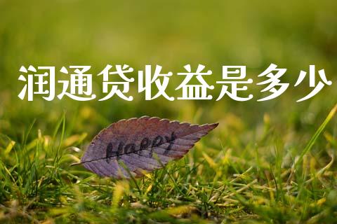 润通贷收益是多少_https://m.fansifence.com_消费金融_第1张