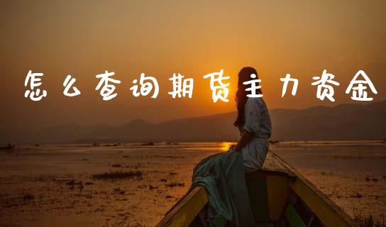 怎么查询期货主力资金_https://m.fansifence.com_消费金融_第1张