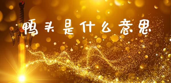 鸭头是什么意思_https://m.fansifence.com_消费金融_第1张