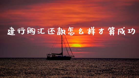 建行购汇还款怎么样才算成功_https://m.fansifence.com_公募基金_第1张