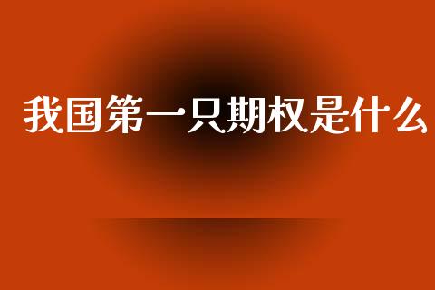 我国第一只期权是什么_https://m.fansifence.com_公募基金_第1张