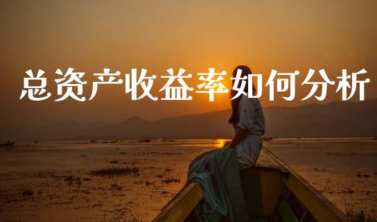 总资产收益率如何分析_https://m.fansifence.com_消费金融_第1张