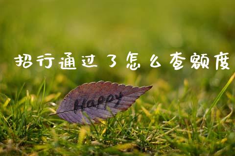 招行通过了怎么查额度_https://m.fansifence.com_消费金融_第1张