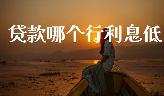 贷款哪个行利息低_https://m.fansifence.com_公募基金_第1张