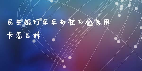 民生银行车车标准白金信用卡怎么样_https://m.fansifence.com_公募基金_第1张