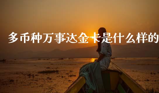 多币种万事达金卡是什么样的_https://m.fansifence.com_个股行情_第1张
