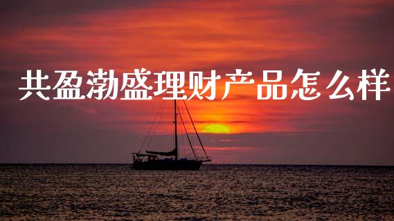 共盈渤盛理财产品怎么样_https://m.fansifence.com_贵金属行情_第1张