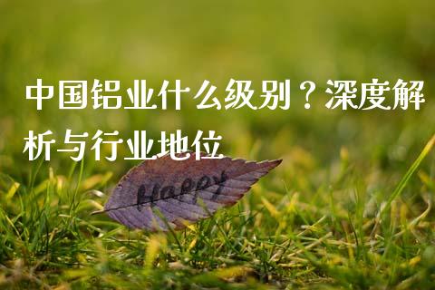 中国铝业什么级别？深度解析与行业地位_https://m.fansifence.com_贵金属行情_第1张