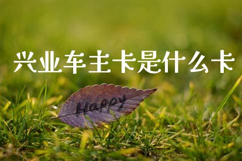 兴业车主卡是什么卡_https://m.fansifence.com_消费金融_第1张