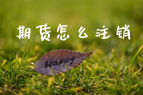 期货怎么注销_https://m.fansifence.com_贵金属行情_第1张