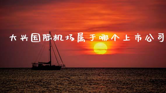 大兴国际机场属于哪个上市公司_https://m.fansifence.com_个股行情_第1张