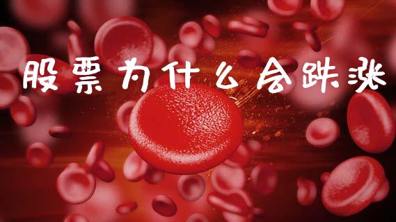 股票为什么会跌涨_https://m.fansifence.com_公募基金_第1张