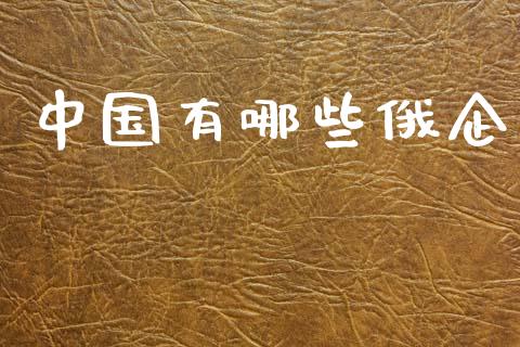 中国有哪些俄企_https://m.fansifence.com_消费金融_第1张