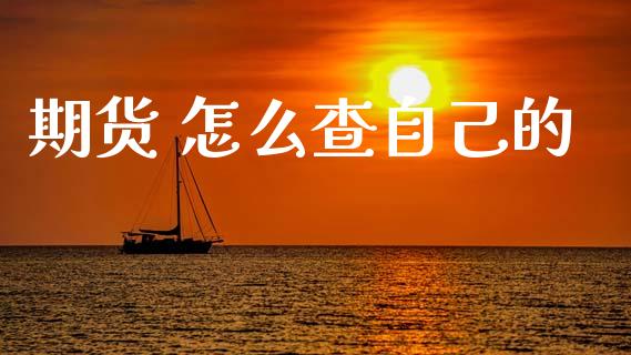 期货 怎么查自己的_https://m.fansifence.com_个股行情_第1张