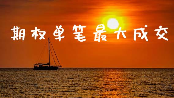 期权单笔最大成交_https://m.fansifence.com_消费金融_第1张