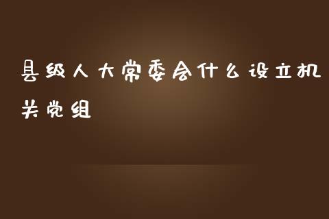 县级人大常委会什么设立机关党组_https://m.fansifence.com_贵金属行情_第1张