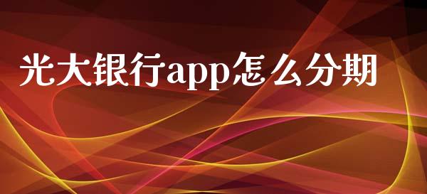 光大银行app怎么分期_https://m.fansifence.com_公募基金_第1张