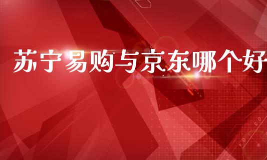 苏宁易购与京东哪个好_https://m.fansifence.com_个股行情_第1张