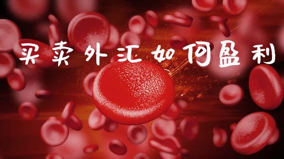 买卖外汇如何盈利_https://m.fansifence.com_个股行情_第1张