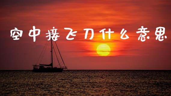 空中接飞刀什么意思_https://m.fansifence.com_个股行情_第1张