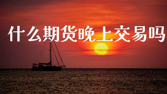什么期货晚上交易吗_https://m.fansifence.com_贵金属行情_第1张
