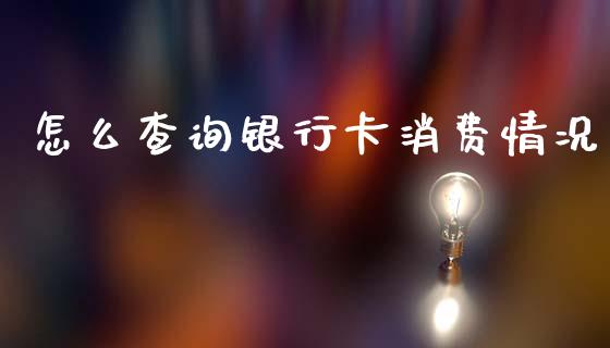 怎么查询银行卡消费情况_https://m.fansifence.com_公募基金_第1张