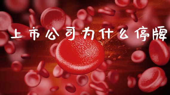 上市公司为什么停牌_https://m.fansifence.com_公募基金_第1张