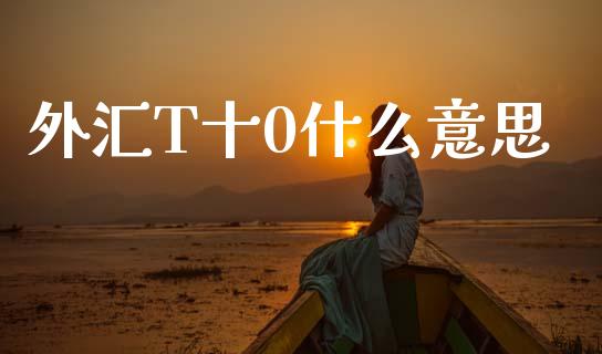 外汇T十0什么意思_https://m.fansifence.com_公募基金_第1张