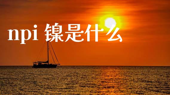 npi 镍是什么_https://m.fansifence.com_个股行情_第1张