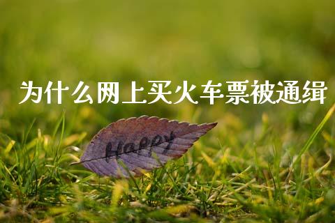 为什么网上买火车票被通缉_https://m.fansifence.com_贵金属行情_第1张