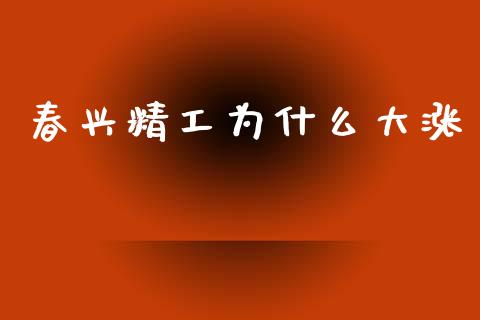 春兴精工为什么大涨_https://m.fansifence.com_个股行情_第1张