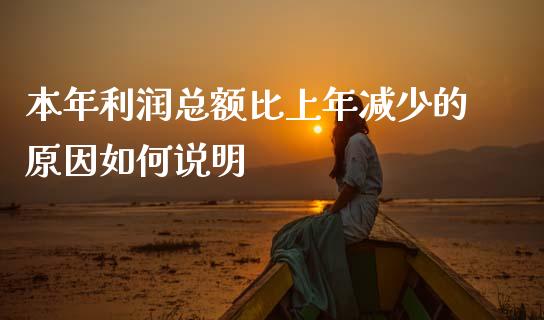 本年利润总额比上年减少的原因如何说明_https://m.fansifence.com_个股行情_第1张