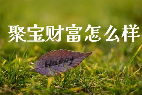聚宝财富怎么样_https://m.fansifence.com_公募基金_第1张
