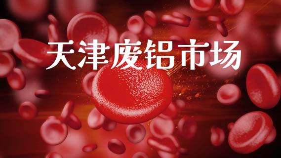 天津废铝市场_https://m.fansifence.com_消费金融_第1张