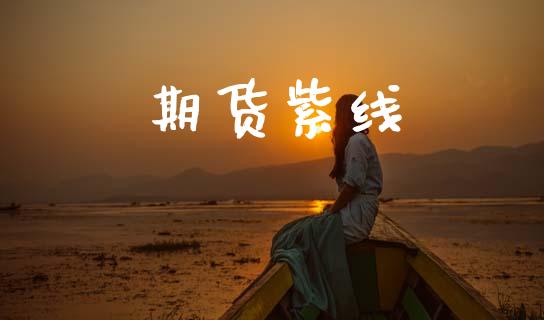 期货紫线_https://m.fansifence.com_公募基金_第1张