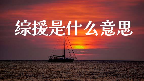 综援是什么意思_https://m.fansifence.com_公募基金_第1张